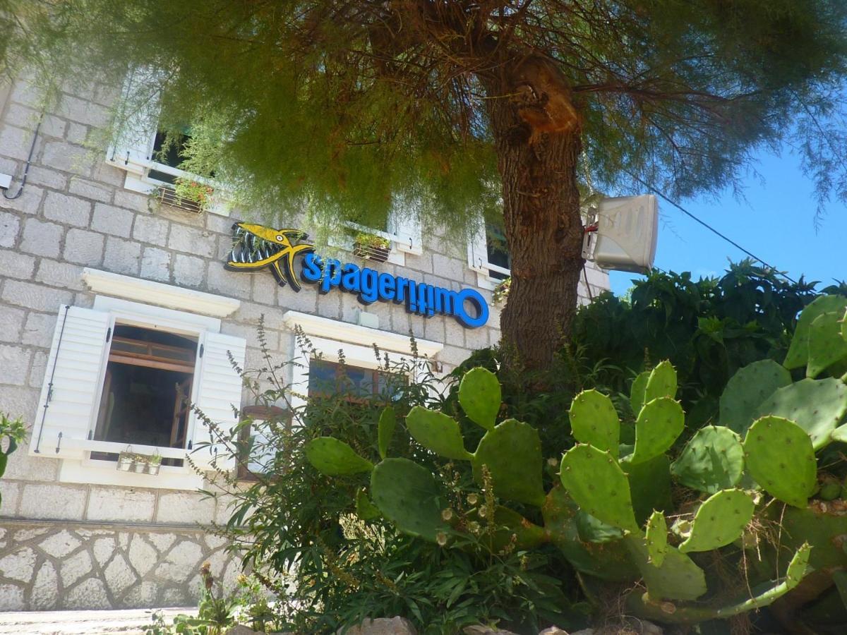 Apartament Karlo Sali